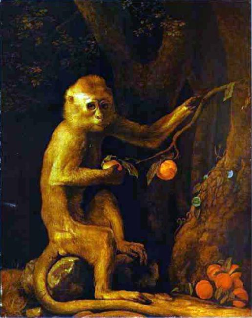 George Stubbs Green Monkey